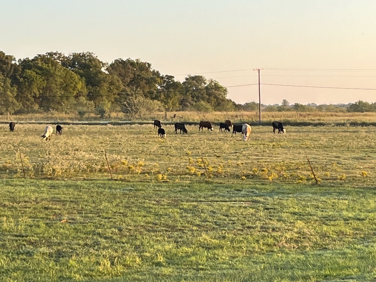 5260 Southwest County Road 1140